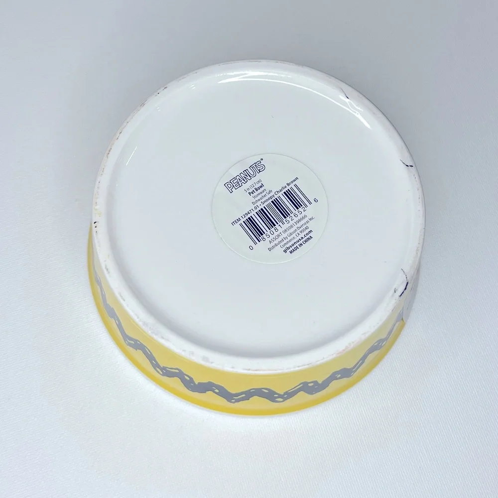 Peanuts Charlie Brown Snoopy Small Dog Bowl